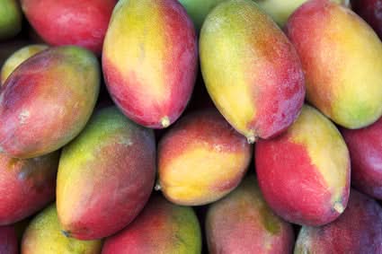 Mango Pico de Loro (Papageienschnabel) Bio von Julian Aktionspreis