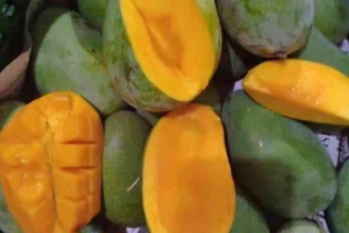 Mango "Harum Manis" baumgereift - Image 3