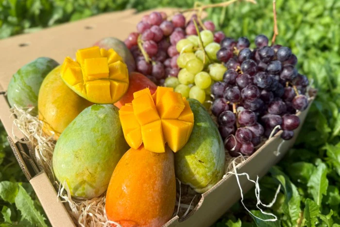 Mango & Trauben Duo Box - Image 2