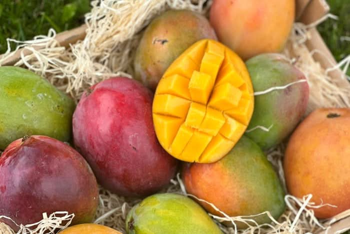 Mango-Trio Mix-Box 2kg Sonderaktion % - Image 8