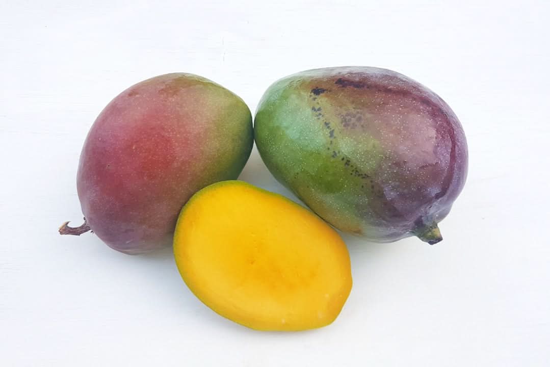 Mango Zill wild (unbehandelt) von Rufino Box Sonderaktion