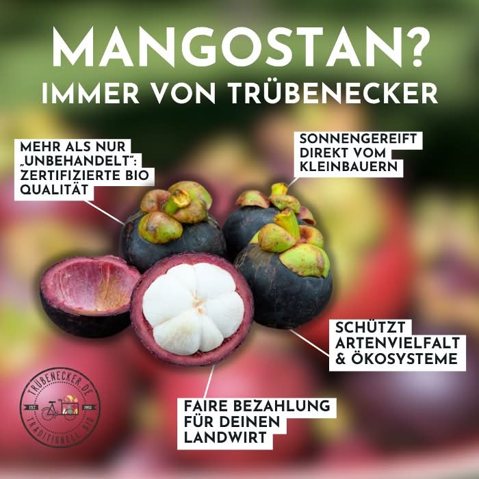 Mangostan-Passion Box - Image 3