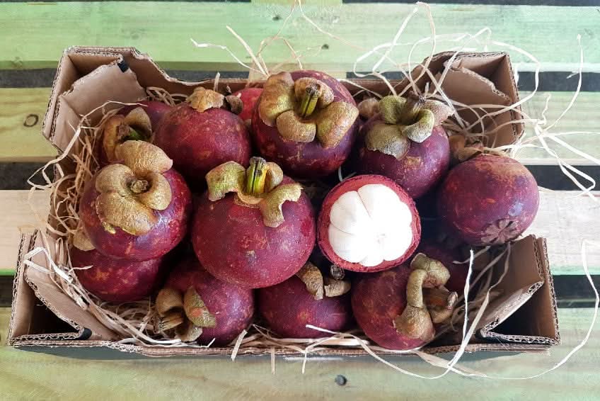 Mangostan naturbelassen von Juan - Image 10