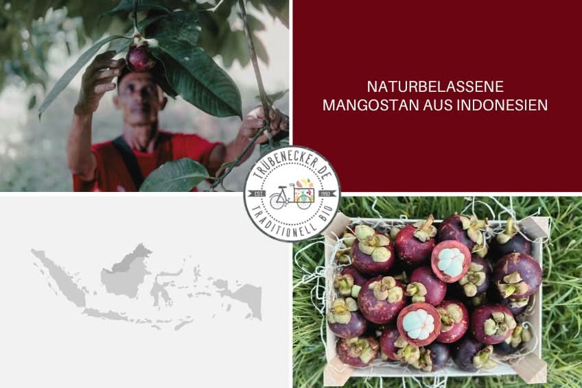 Mangostan Aktionsbox % 1,25kg - Image 6