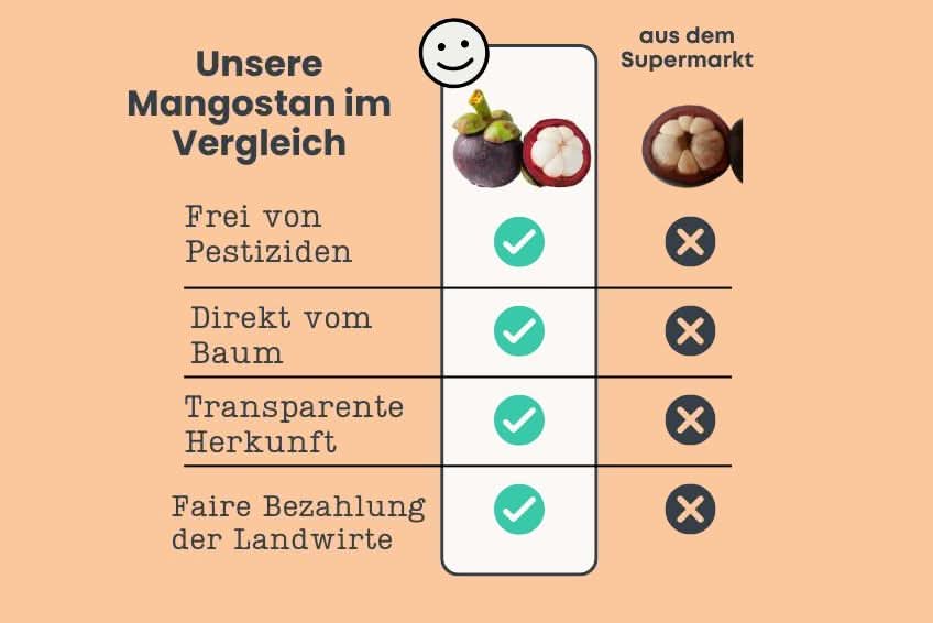 Mangostan unbehandelt Thailand 1,5kg Box Promo % - Image 7