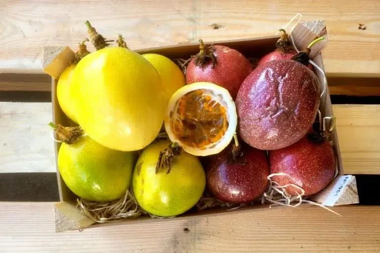 Maracuja gelb & rot Mix Bio