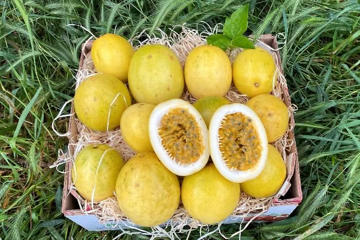Vorschaubild 1