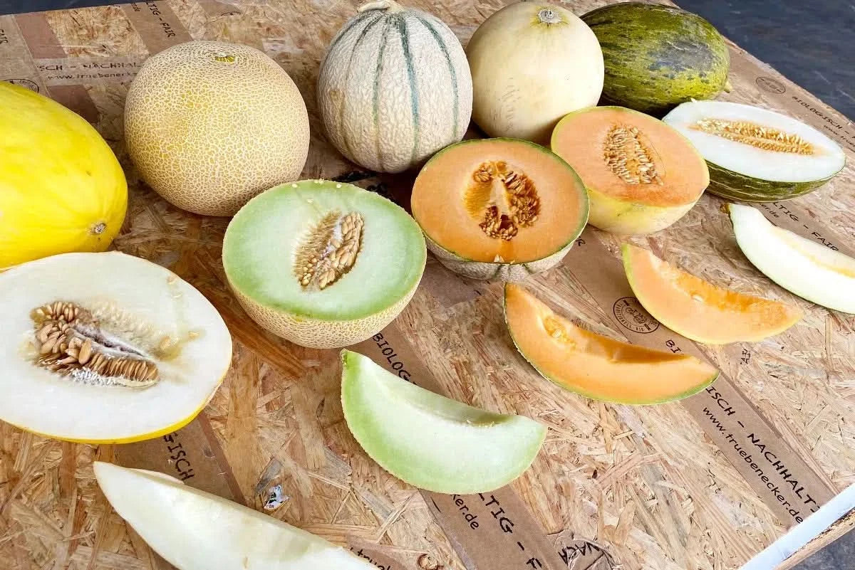 Melonen-Mix Bio 5er Box - Image 3