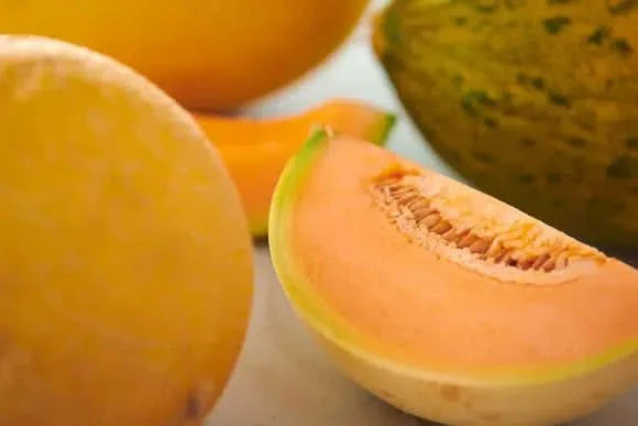 Melonen-Mix Bio 5er Box - Image 4
