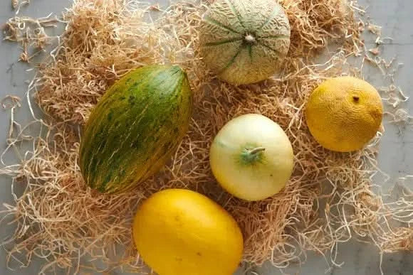 Melonen-Mix Bio 5er Box - Image 5