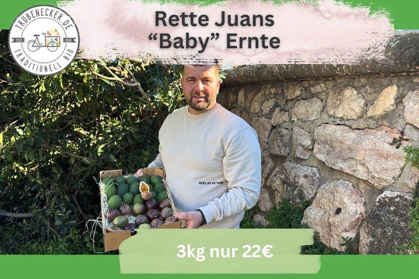 Baby Avocado & Passionsfrüchte von Juan Retterbox % 3kg - Image 3