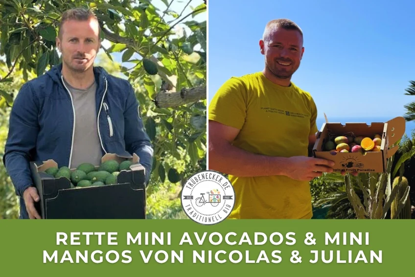 Mini Mango & Avocado Retterbox - Image 3