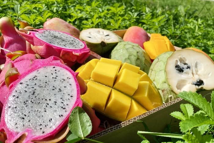 Obstbox "Andalusischer Sommertraum" von Julian - Image 3