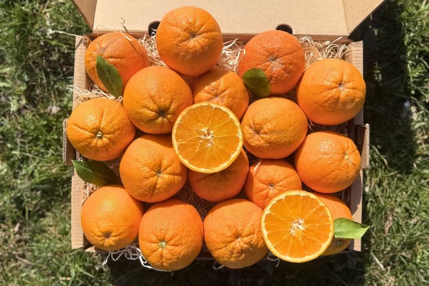 Orangen Mix Bio 1kg