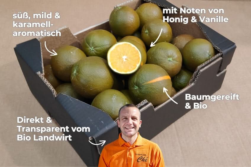 Orangen Chocolate Navel Bio - Image 2