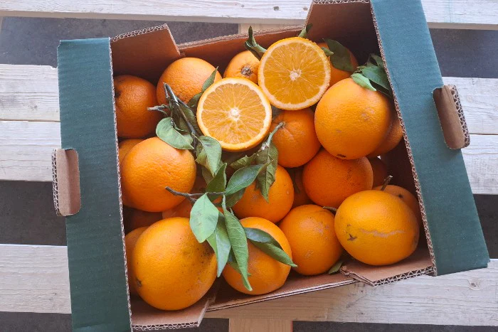 Orangen Valencia Late Bio Fratelli Bilardi Kalabrien Sonderaktion % - Image 3