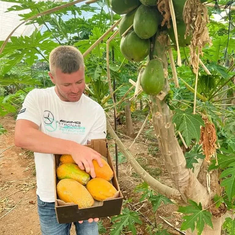 Papaya Bio von Julian Wochenaktion % - Image 6