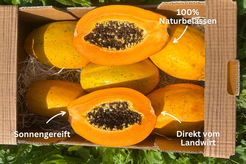 Papaya von Salvador Kennenlernpreis % 4kg Box - Image 3