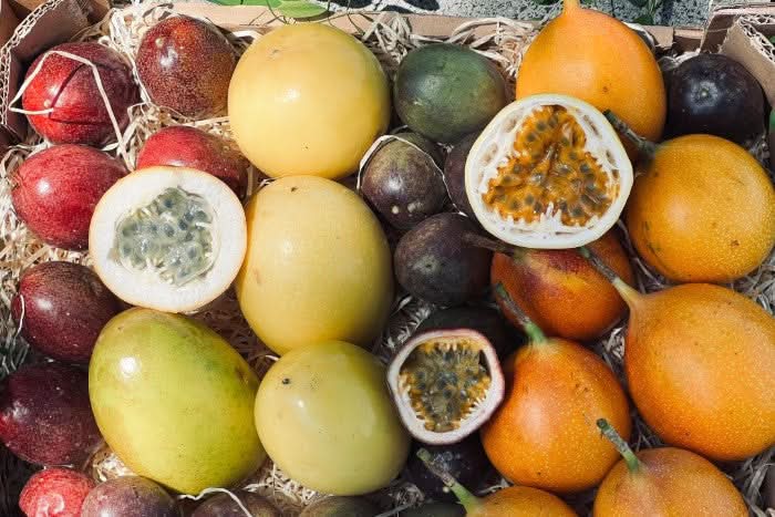 "Passiflora Lovers" Maracuja-Mix Box - Image 11