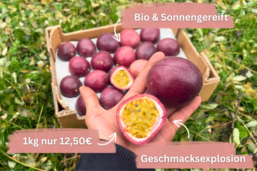 Passionsfrüchte Bio Sonderaktion % 2kg - Image 2