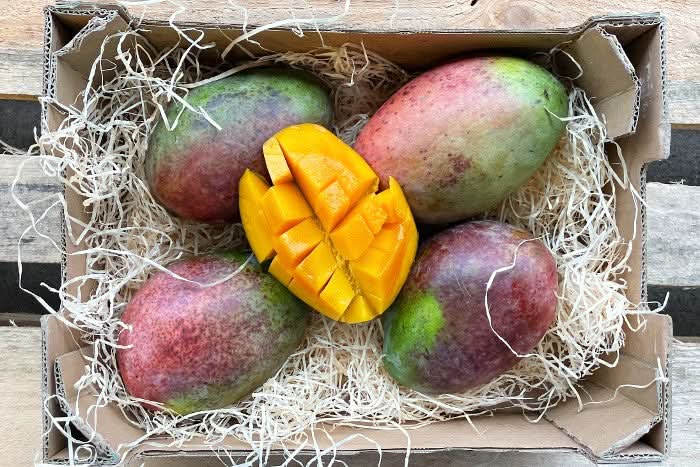 Riesenmangos Bio von Antonio Retterbox