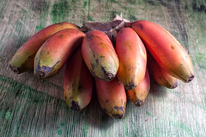 Rote Bananen Bio