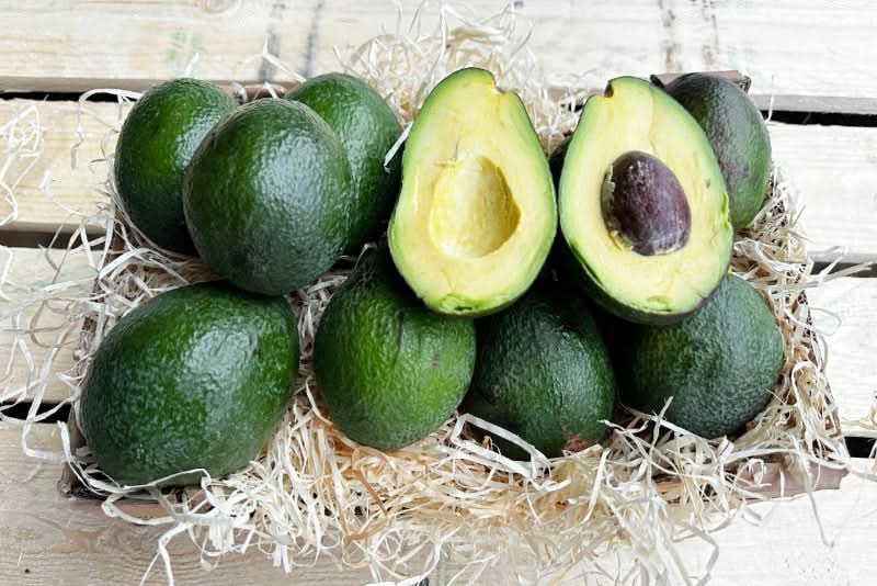 Avocado Salvaje wild von Julian - Image 5