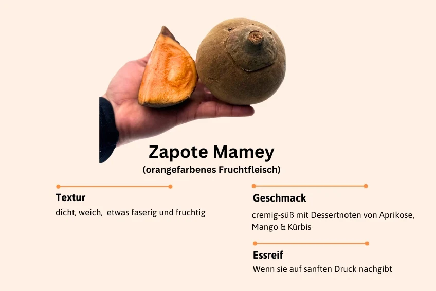 Sapote Duo Entdeckerbox - Image 3