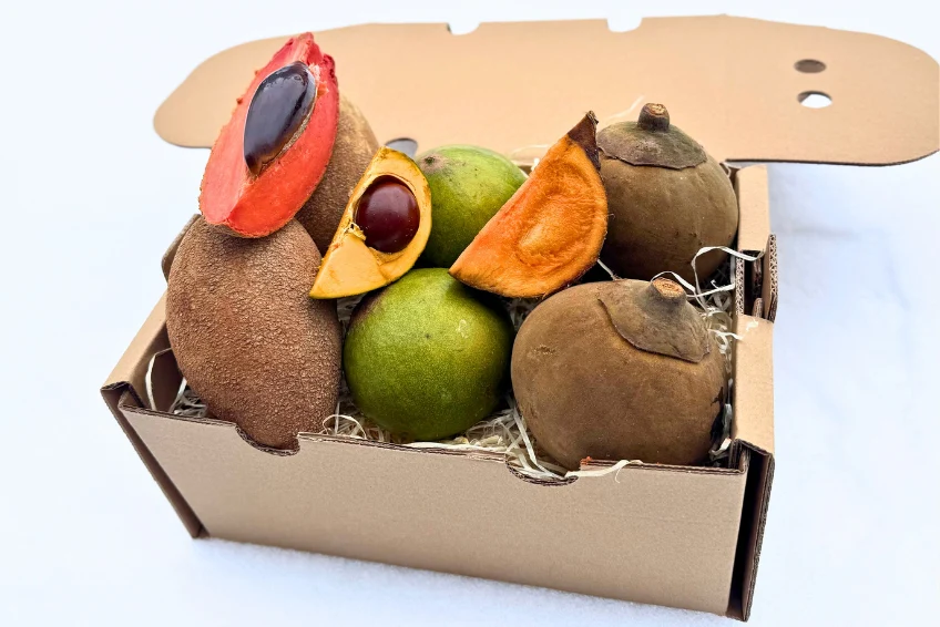 Sapote Duo Entdeckerbox - Image 4