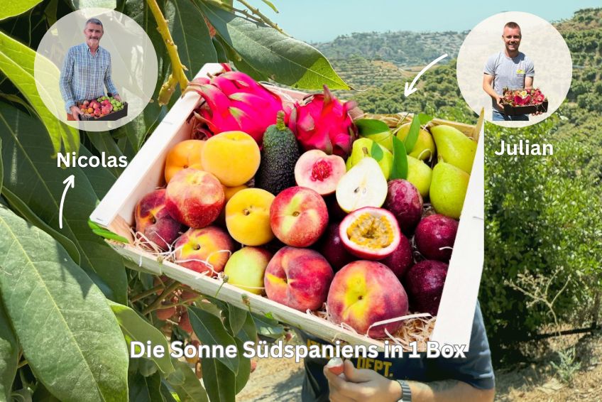 Spanische Sommernachts Box - Image 2