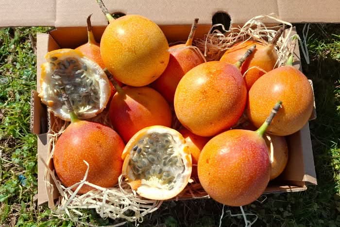 Süße Granadilla Sparpreis-Box