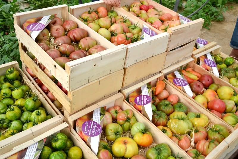Tomaten Mix Bio "Alte Sorten" 3kg Box - Image 3