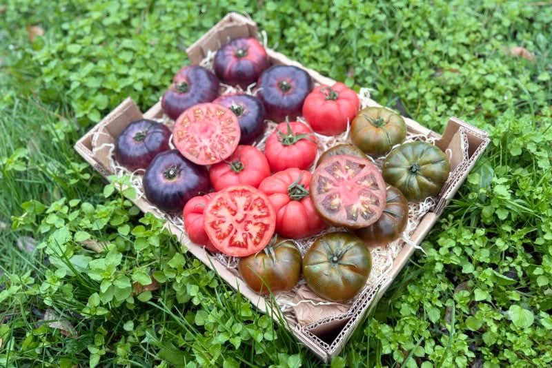 Tomaten Mix von Julian Box 3kg Aktionswoche % - Image 5